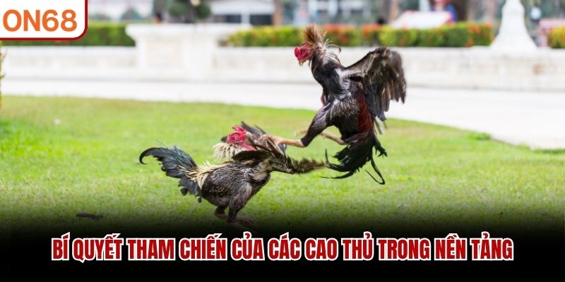B&iacute; quyết tham chiến của c&aacute;c cao thủ trong nền tảng