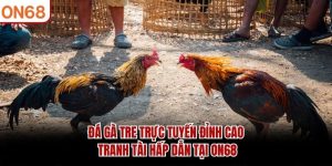 Đá Gà Tre