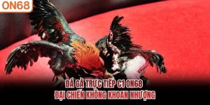 Đá Gà Trực Tiếp C1
