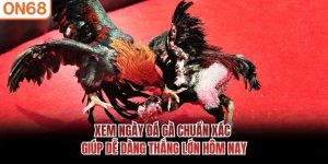 Xem Ngày Đá Gà